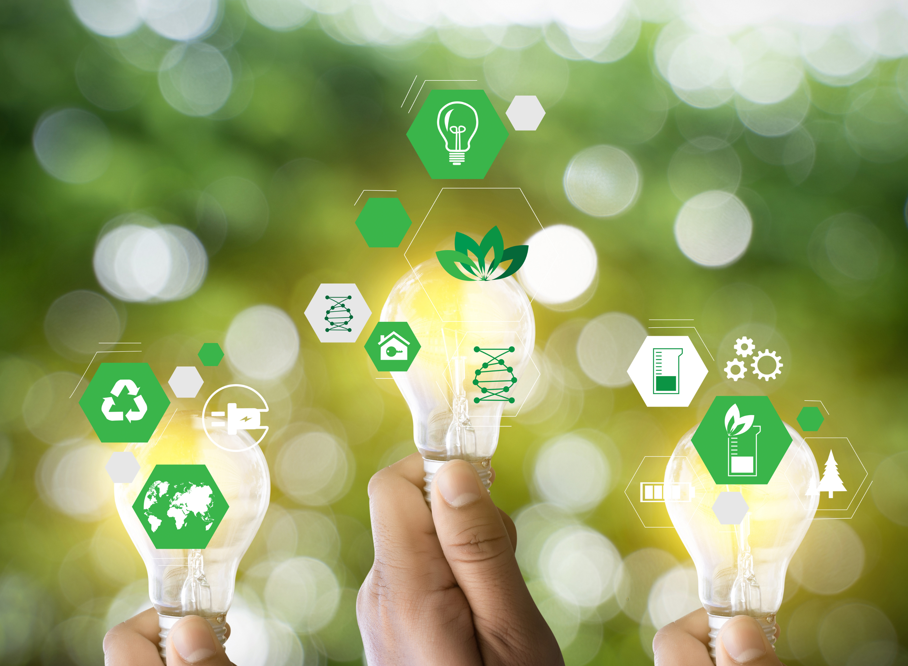 Sustentabilidade na Construção Civil: A Importância das Telhas Sustentáveis