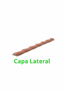 Capa Lateral